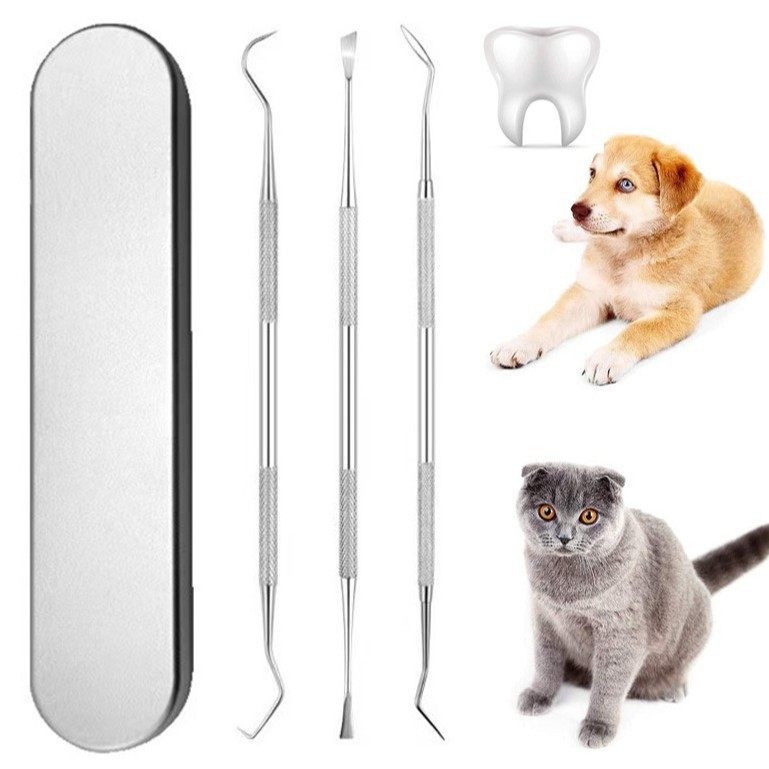 厂家不锈钢宠物工具套装 去牙结石剔除器牙污垢清洁护理口腔工具,宠物/宠物食品及用品,其他美容护理用品,淘宝优惠券,粉丝福利购,淘宝优惠卷