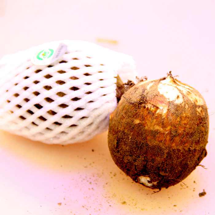 福建永定"六月红"早熟芋 芋头新鲜小芋头农家包邮新鲜蔬菜