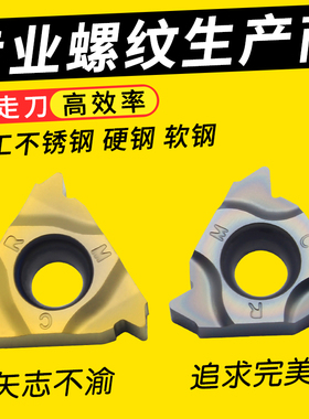 螺纹刀片不锈钢挑丝合金刀头16ERAG60度公制英美制锥管外螺纹牙刀