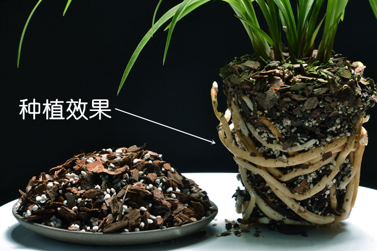 兰花专用土种植有机植料 肥透气混合火山土颗粒包邮试用春墨建兰在类目 鲜花速递/花卉仿真/绿植园艺, 园艺用品, 家庭园艺肥料/营养土/营养液中 - 来自Buy2taobao.com提供专业的淘宝代购服务