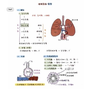 2025年执业医师手写笔记 ！PDF电子版文档彩色可打印