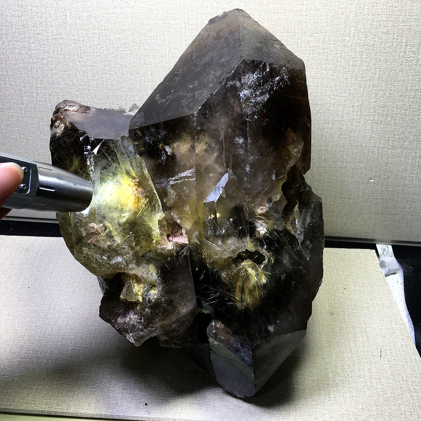 天然金发晶钛晶原石未打磨骸骨干