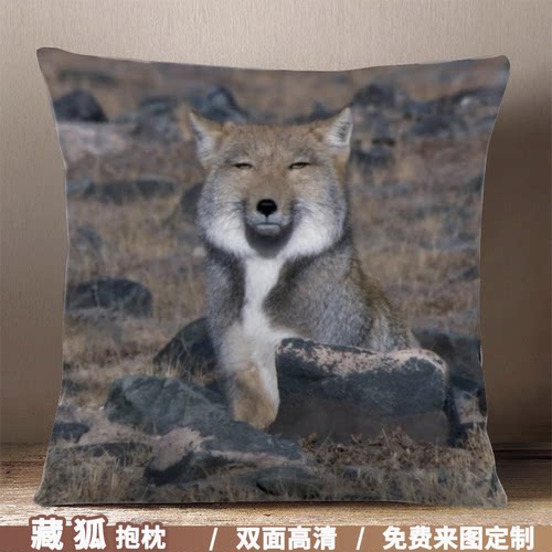 精神污染动物抱枕包定制