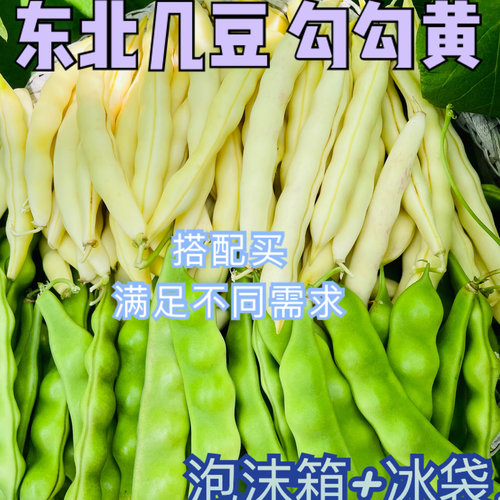 东北特产农家油豆角黄金钩新鲜现摘蔬菜九月青豆角扁豆角豌豆