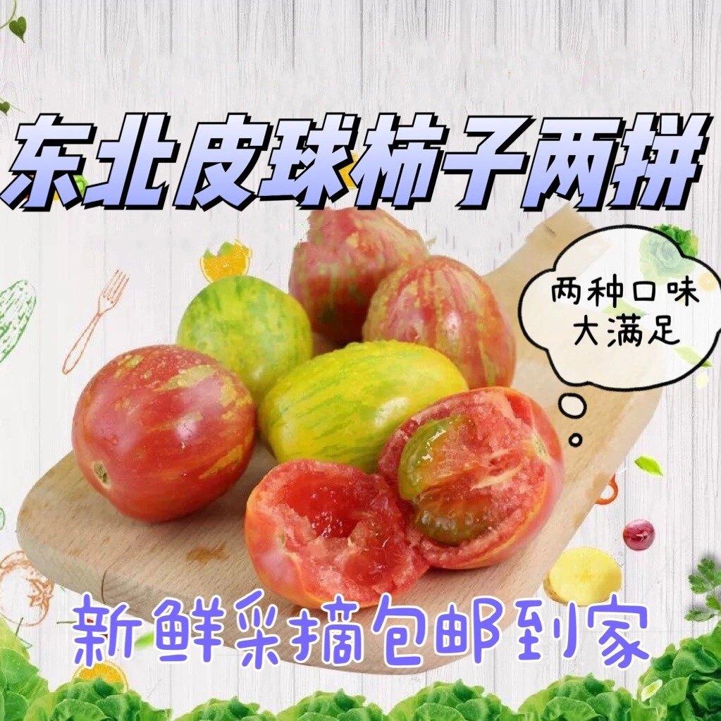 2023年新开园东北皮球柿子自家小园柿子春桃虎皮柿子新鲜小番茄