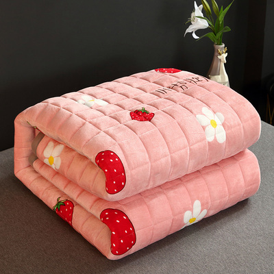 促销冬季珊瑚绒法兰绒毯子保暖铺床床单垫床双层加厚毛毯床垫防滑