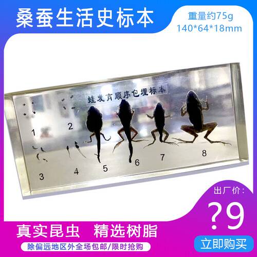 生物包埋标本模型发育顺序树脂