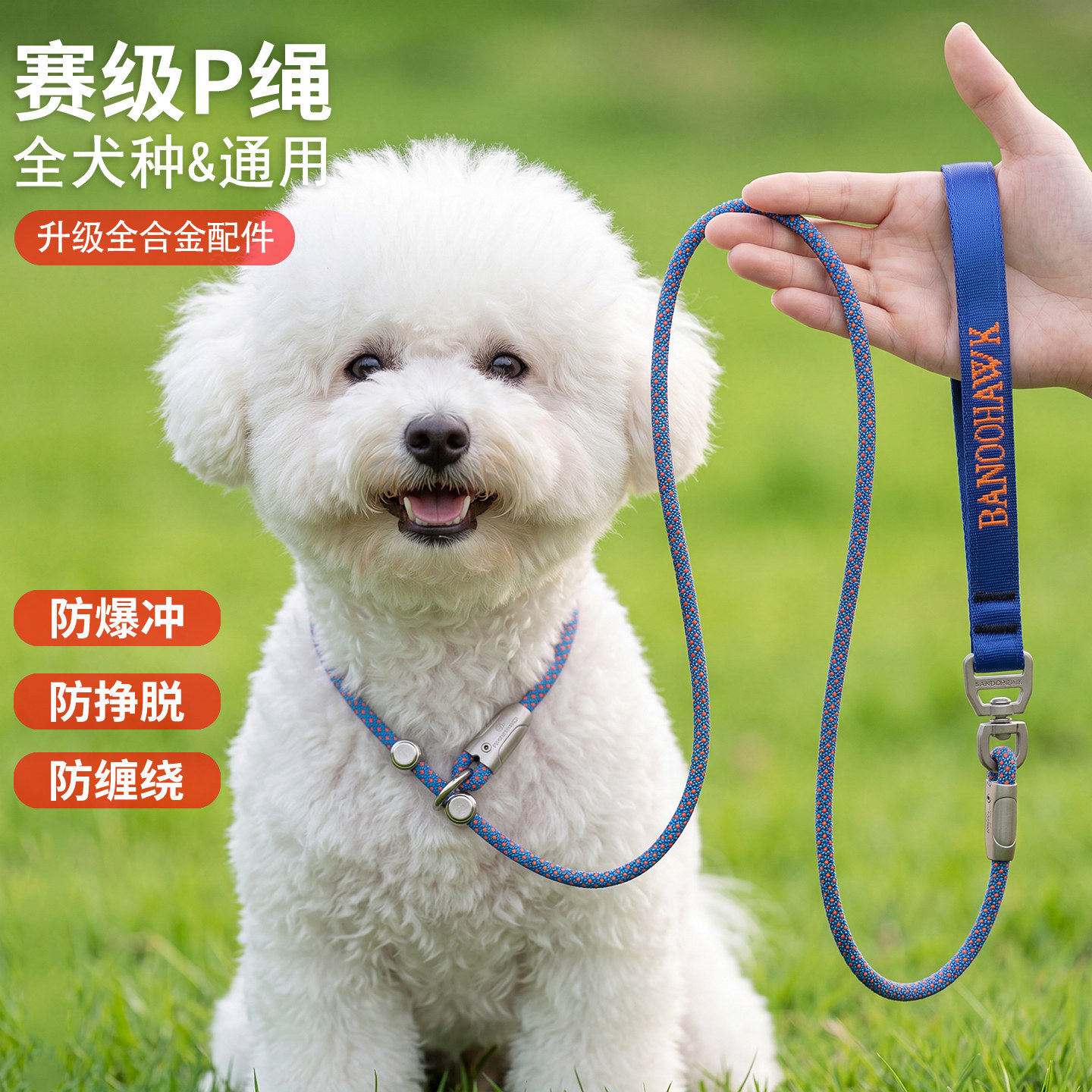 狗狗牵引绳防爆冲p绳p链图片