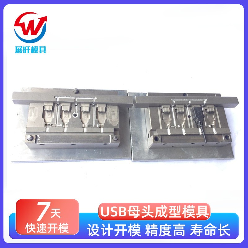 数据线成型模USB注塑模具制造 迈克USB充电线typec模具SR中卡模具