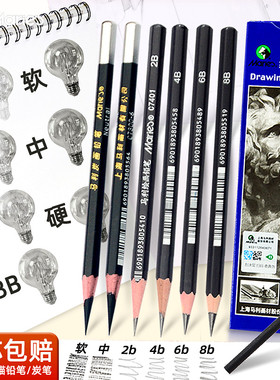 马利素描铅笔8b6b4b2b马力绘画10b14b美术生专用套装玛丽软碳炭笔