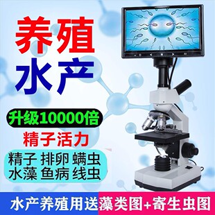 显微镜专业猪精生物光学10000倍 家用精子卵子螨虫水产养殖中学生
