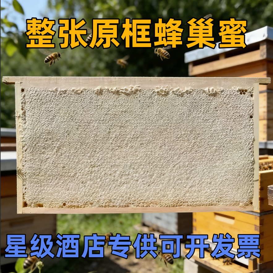 整张蜂巢蜜5-6斤带木框板蜜酒店专供可以嚼着吃的纯蜂蜜天然蜂巢