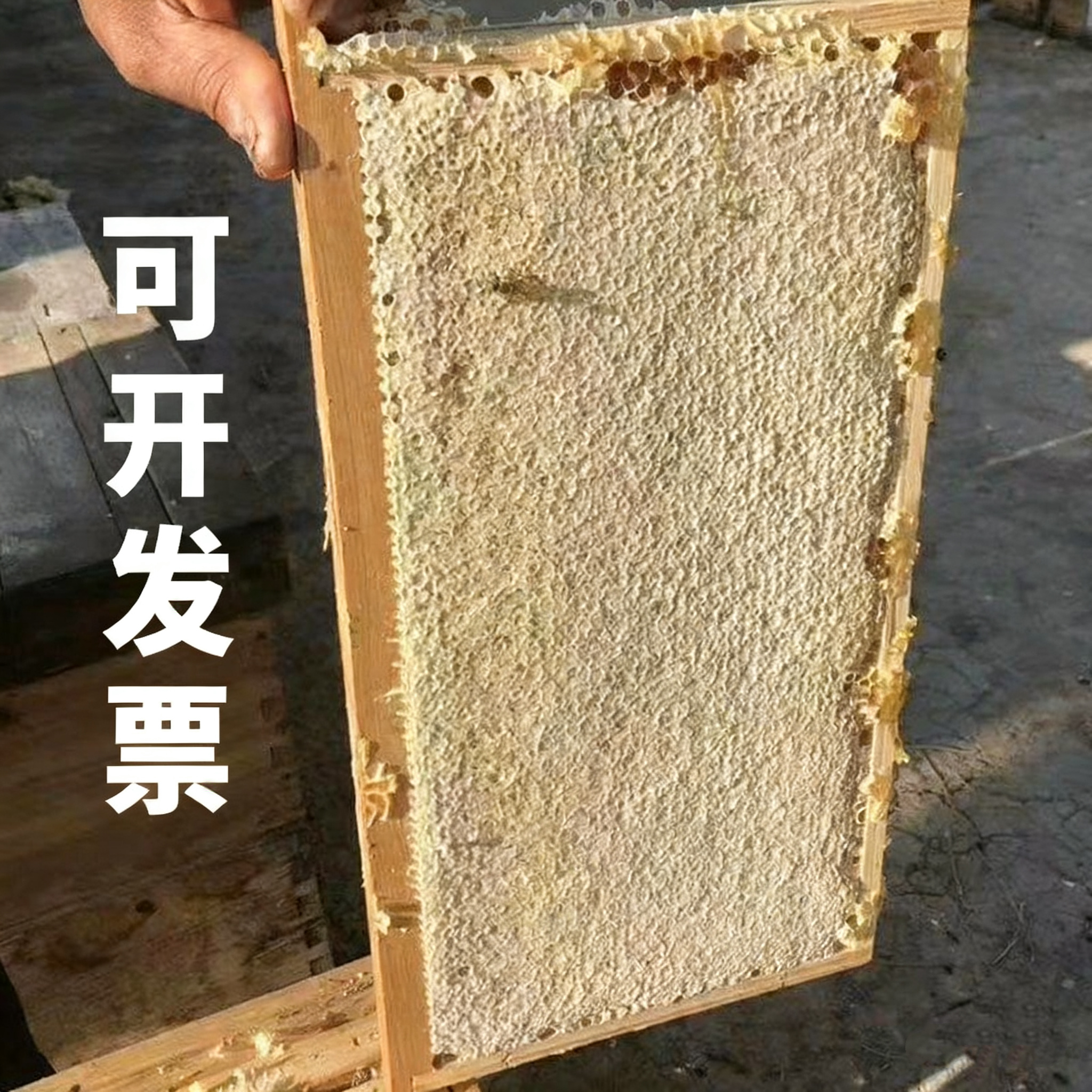 农家蜂巢蜜蜂蜜野生蜂蜜