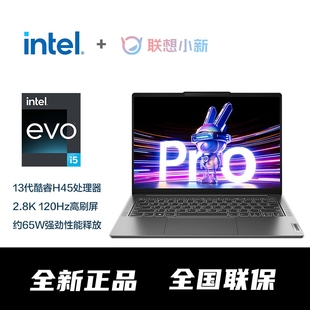 联想 Lenovo 2023款 Pro14Pro16 办公游戏设计轻薄笔记本电脑 小新