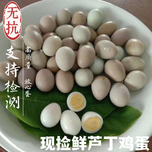 芦丁鸡食用蛋当日新鲜现捡小鸡蛋纯谷物喂养宝宝辅食老人孕妇营养