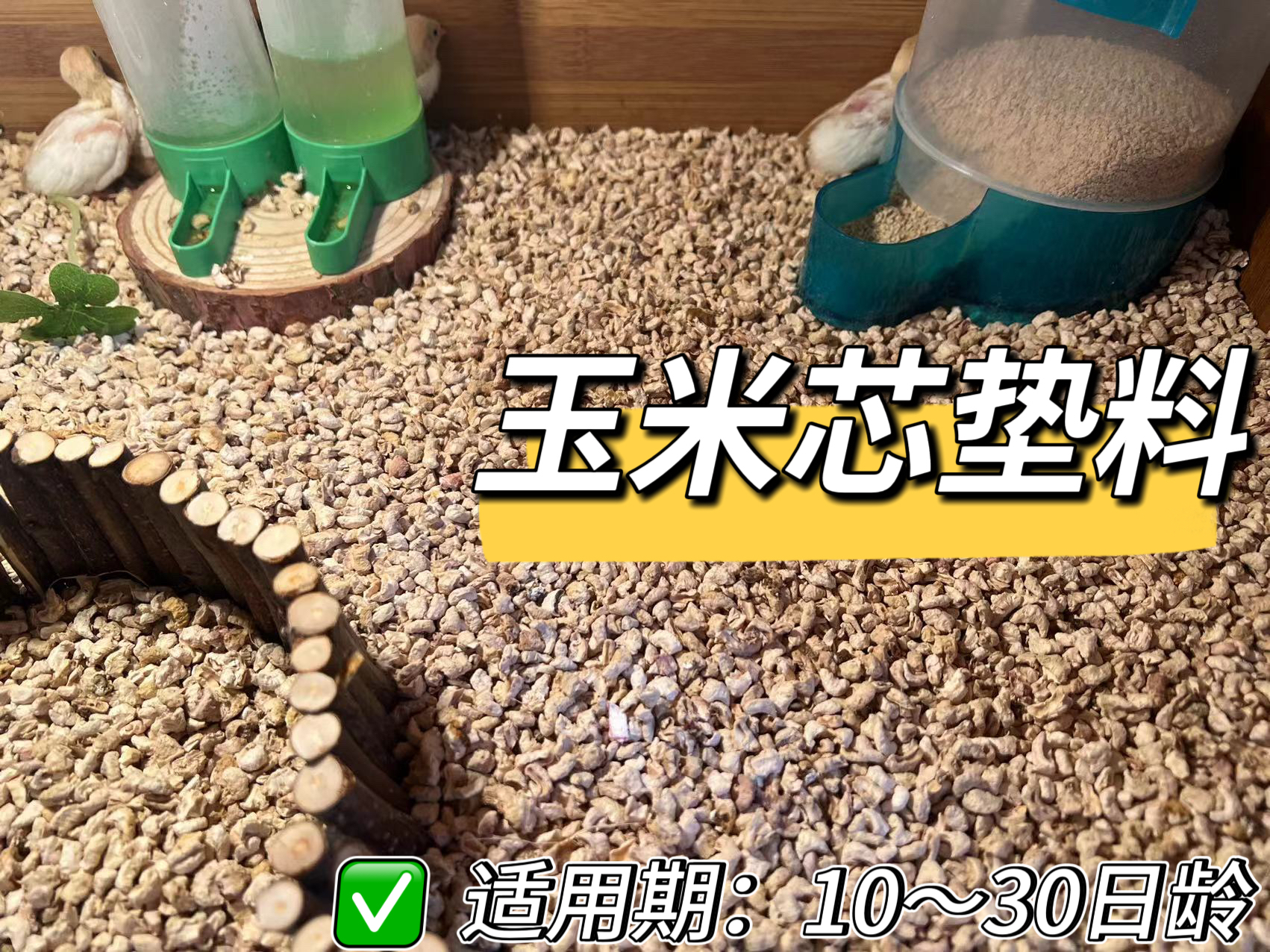 10至30日龄芦丁幼鸡饲养箱垫料除臭大颗粒玉米芯垫料除湿5斤装