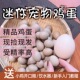 芦丁鸡种蛋受精种蛋可孵化网红迷你鸡蛋宠物鸡德系可孵化受精种蛋