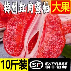 40年老树广东梅州红心红肉蜜柚梅县金柚新鲜水果客家特产产地直发