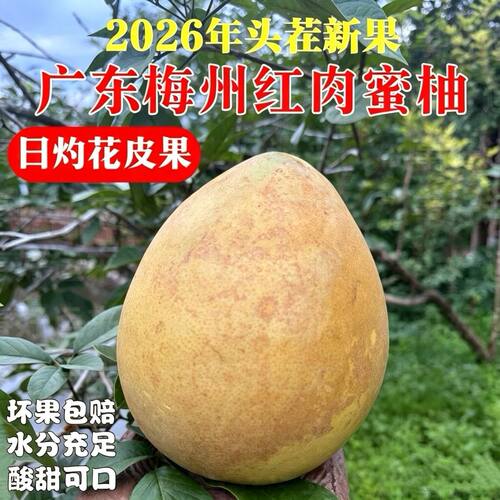 天然花皮红柚自吃更实惠