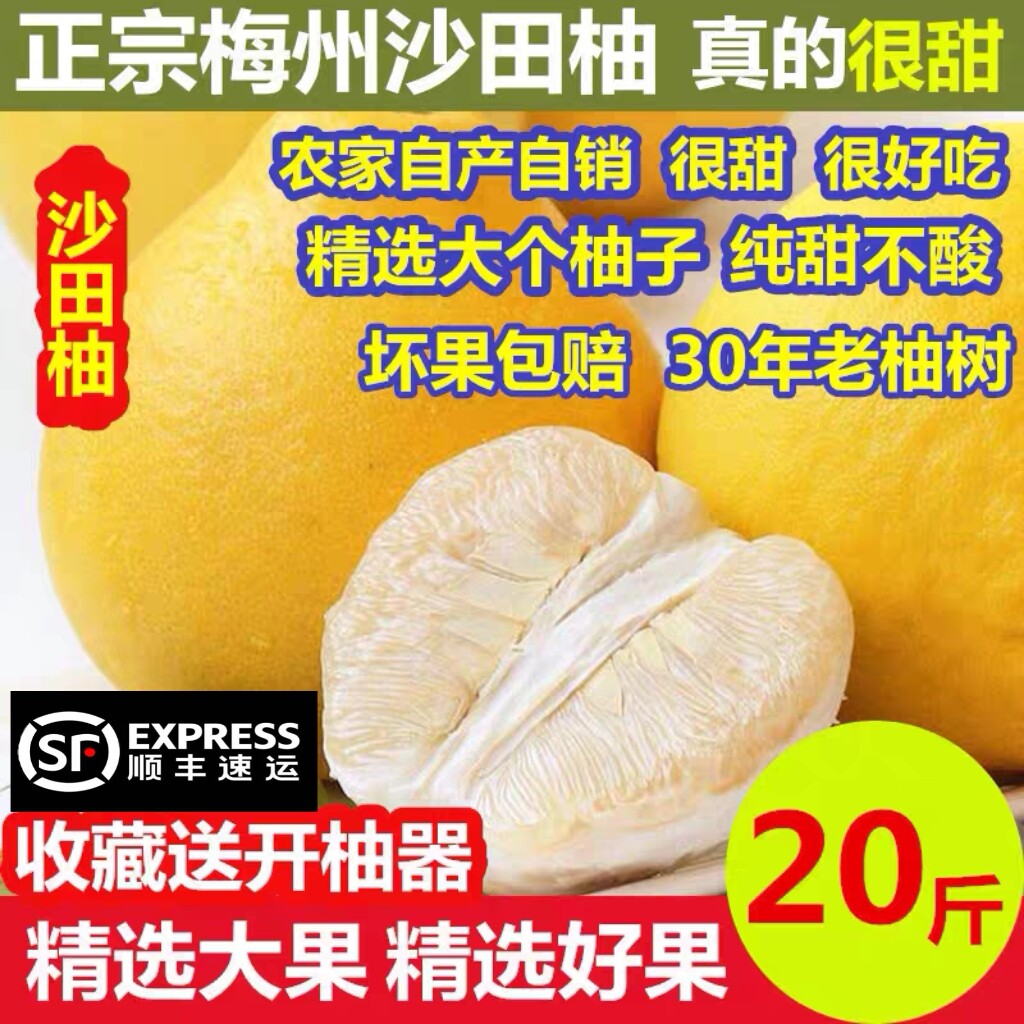 30年老树梅州正宗沙田柚