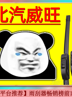 适用于北汽威旺S50无307骨007雨刮器后250雨刷407EV片306条T205D