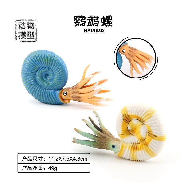 儿童早教科教认知玩具仿真海洋生物模型远古鹦鹉螺海螺贝壳小摆件