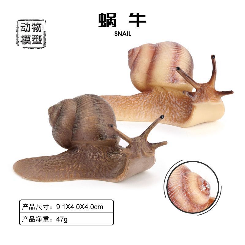 跨境实心仿真蜗牛模型昆虫动物玩具套装儿童认知益智科教礼品摆件