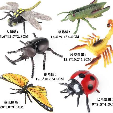 仿真动物模型昆虫蝎子苍蝇螳螂蜘蛛蚱蜢儿童认知玩具蝴蝶蚂蚁蜻蜓