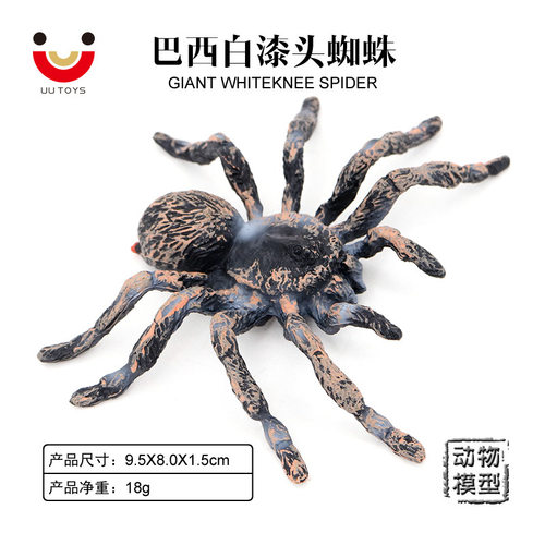 仿真昆虫蜘蛛动物模型