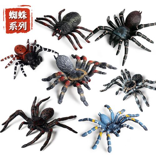 仿真蜘蛛模型实心黑狼蛛