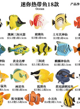 儿童认知仿真海洋海豚野生动物模型玩具海洋套装沙盘场景装饰摆件