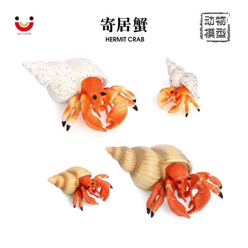 儿童玩具仿真实心寄居蟹模型海底生物螃蟹海洋动物礼品摆件早教认