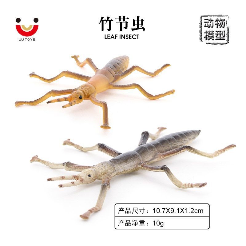 竹节虫模型实心环保手工上色