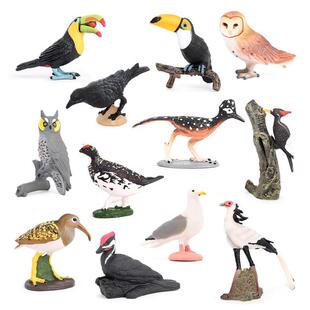 儿童认知玩具仿真野生飞鸟动物模型巨嘴鸟猫头鹰乌鸦雷鸟实心摆件