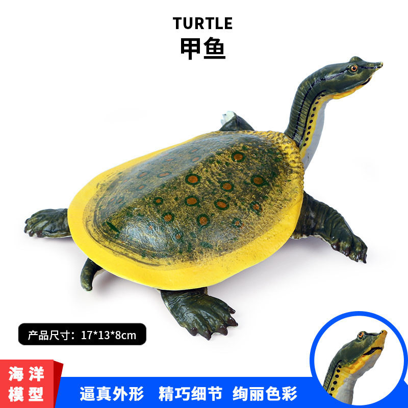 海洋乌龟甲鱼模型6岁中国大陆