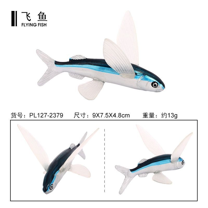 仿真海洋生物鱼类飞鱼玩具海底动物塑胶儿童科教认知礼物摆件模型