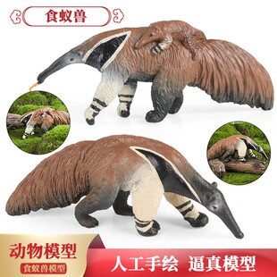 仿真野生动物模型玩具实心食蚁兽侏食蚁兽儿童认知动物园礼物道具