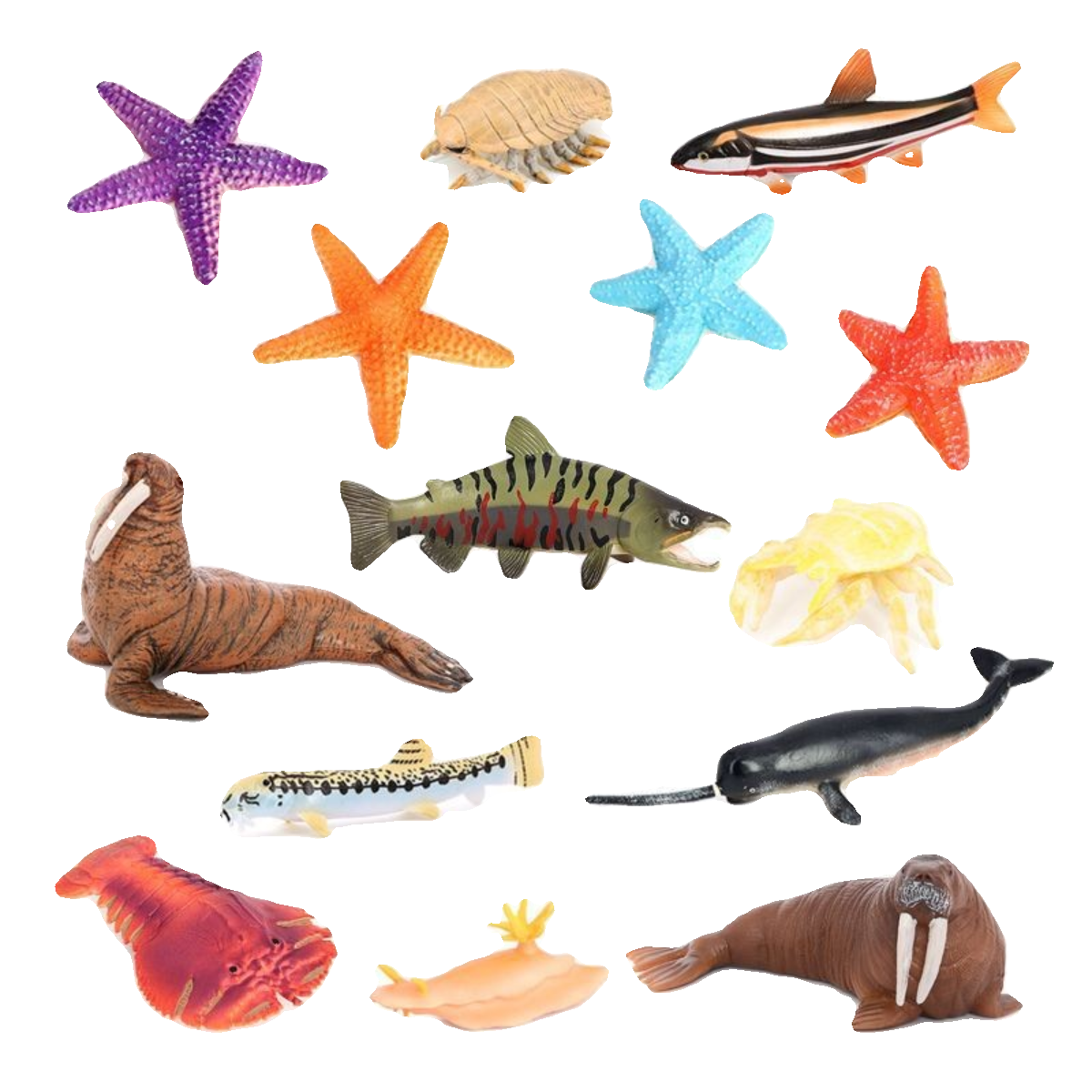 Children's toys, simulated marine animal models, walruses, slugs, sea rabbits, starfish, shrimps, crabs, and underwater creatures cognition