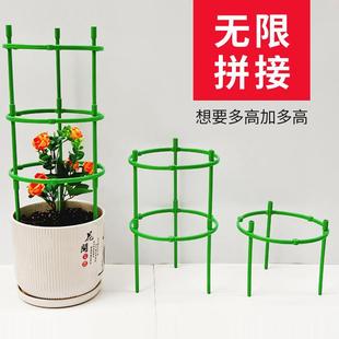 花架支架可拼接花支架支撑圈支撑杆室内植物花架阳台枝条爬藤架