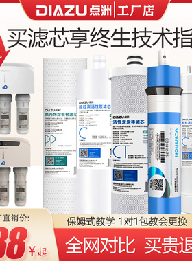 点洲滤芯适用沁园净水器QR-RF-504A/C/D/QR-RL-502D(S) 风暴3号