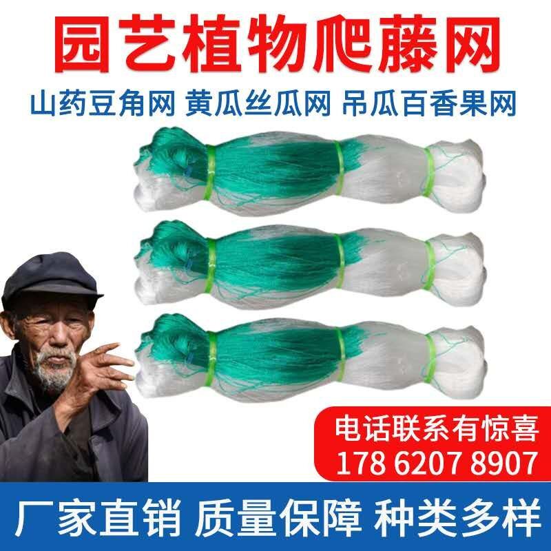 爬藤网种植网豆角素材模板 爬藤网种植网豆角图片下载 小麦优选