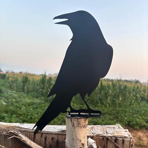铁艺摆件鸟花园桩乌鸦剪影金属雕塑质朴的乡村庭院树桩和围栏装饰