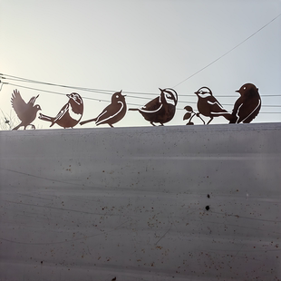 6只铁质鸟雕像生锈的金属小鸟剪影庭院围栏木桩户外花园栅栏装饰