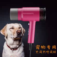 吹风机大功率静音大型犬电吹风筒1