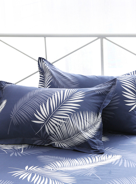 纯棉斜纹拉链枕套2个装48x74cm单人全棉枕头套枕皮40x60中号35x55