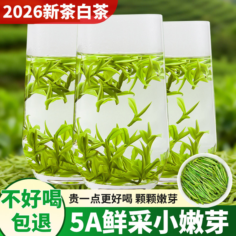 头春白茶小嫩芽全芽正宗高山2026新茶安吉云顶明前茶叶毛尖茶正宗