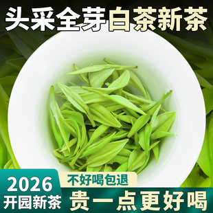 头采2026花香型安吉云顶白茶特级一芽一叶新茶回甘春茶500g罐装