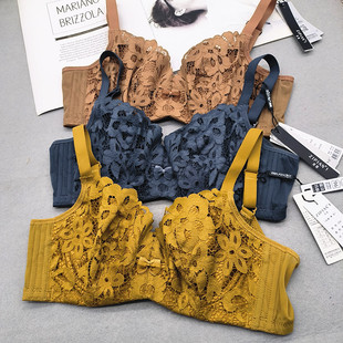 专柜正品 姿篇Z56内衣夹棉杯薄杯聚拢侧收性感蕾丝软钢圈BC杯文胸