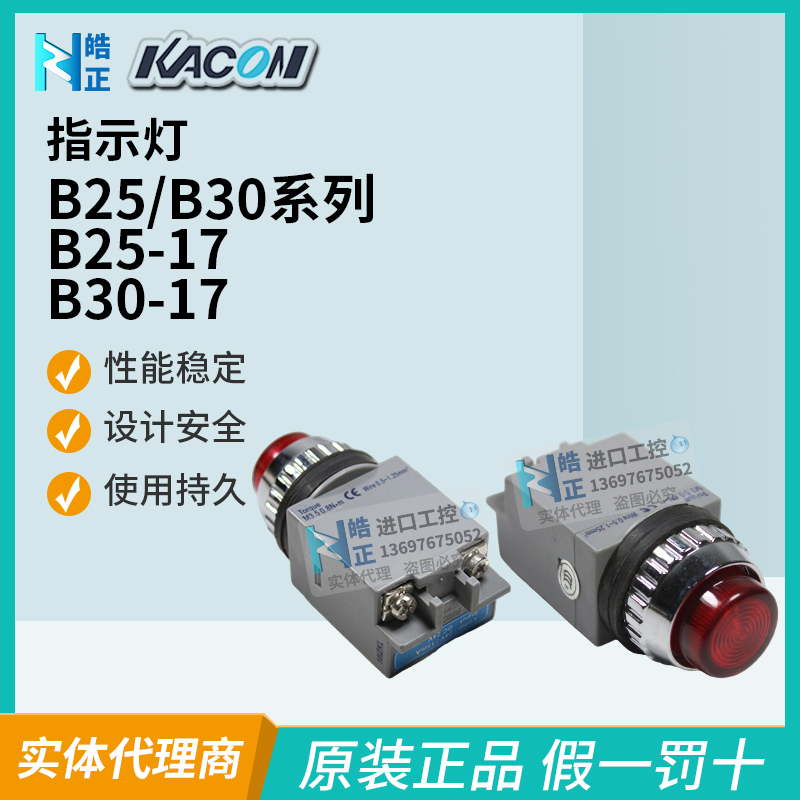 B25-17B30-17指示灯Kacon/凯昆