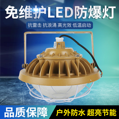 led防爆灯仓库厂房隔爆型30w50w80w加油站专用吸顶工业照明灯灯罩